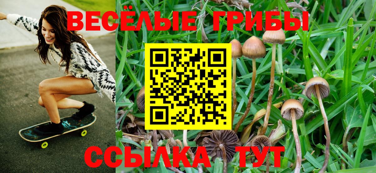 Галлюциногенные грибы GOLDEN TEACHER Ярцево
