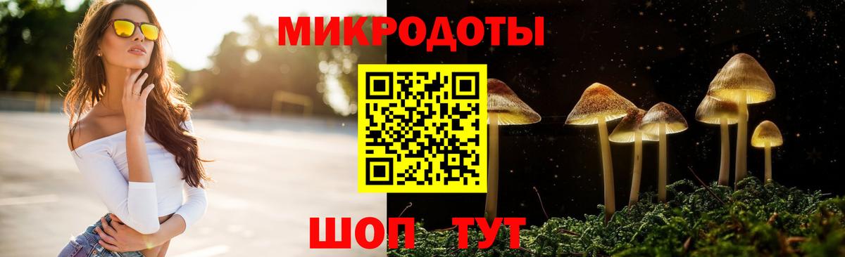 Ярцево  Псилоцибиновые грибы ЛСД  Вход с VPN  Галлюциногенные грибы MAGIC MUSHROOMS 